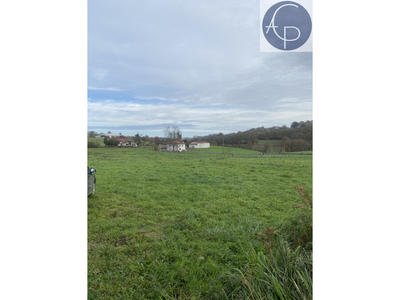 Terrain - 12 376 m²