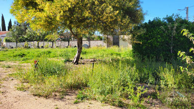 Terrain - 555 m²