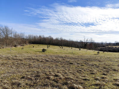 Terrain - 44 704 m²