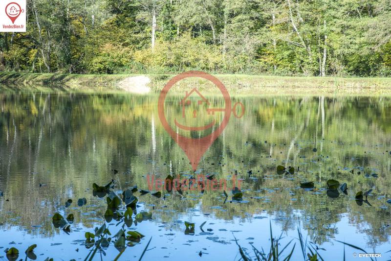 Terrain de loisirs - 9 062 m²