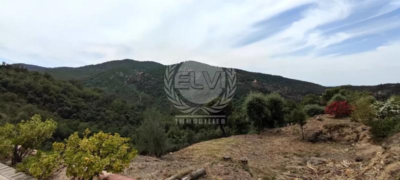 Maison - 290 m² - 8 pièces