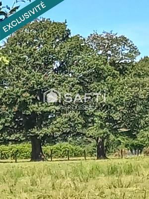 Maison - 95 000 m² - 6 pièces