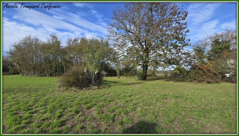Terrain constructible - 3 741 m²