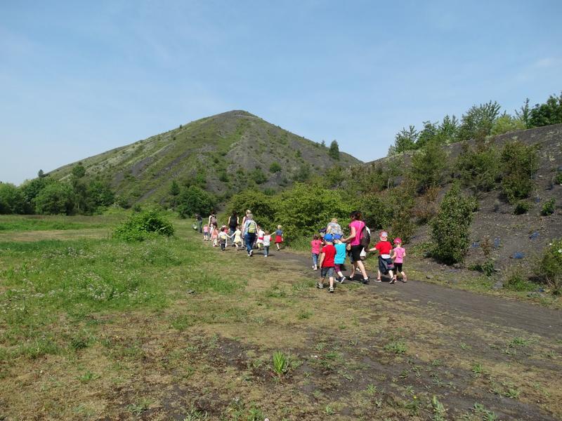 Les petites bêtes des terrils, spéciale pollinisateurs sauvages