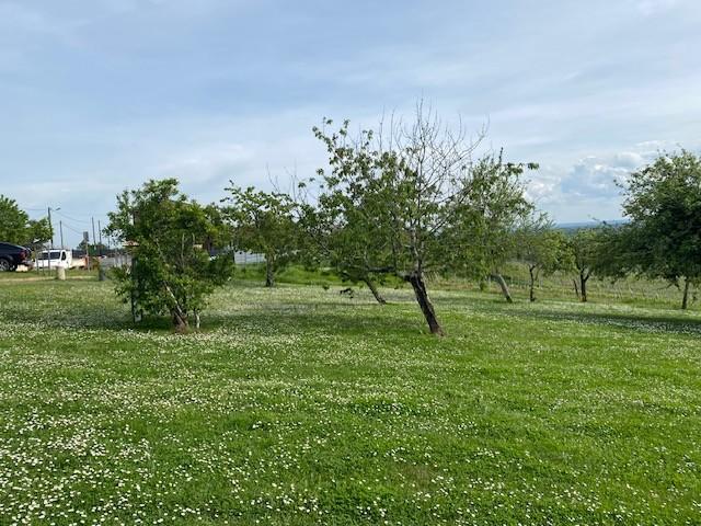 Terrain constructible - 700 m²