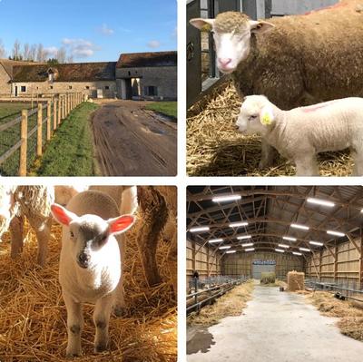 Ferme de Briquesard