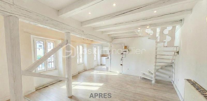 Duplex - 49 m² - 2 pièces