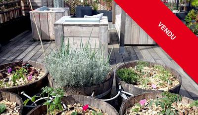 Appartement - 85 m² - 3 pièces