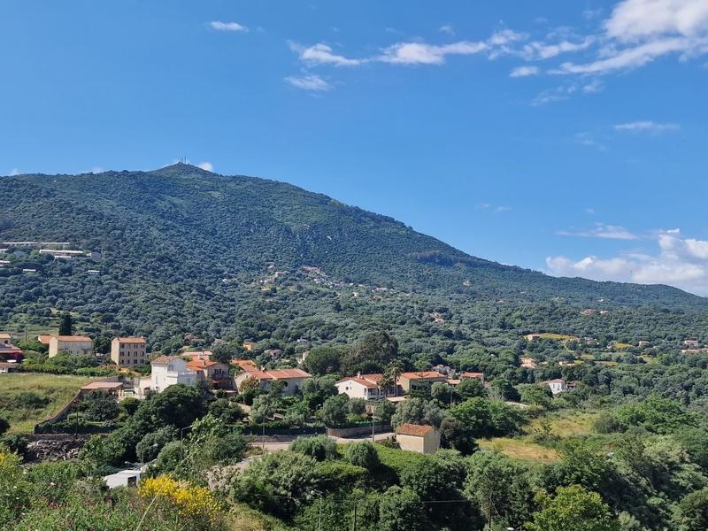 Appartement - 27 m² - 1 pièce