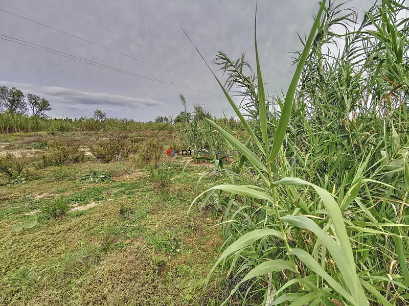 Terrain agricole - 9 613 m²