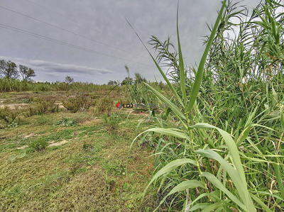 Terrain agricole - 9 613 m²