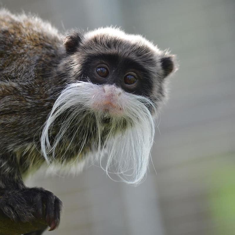 La Réserve Exotique