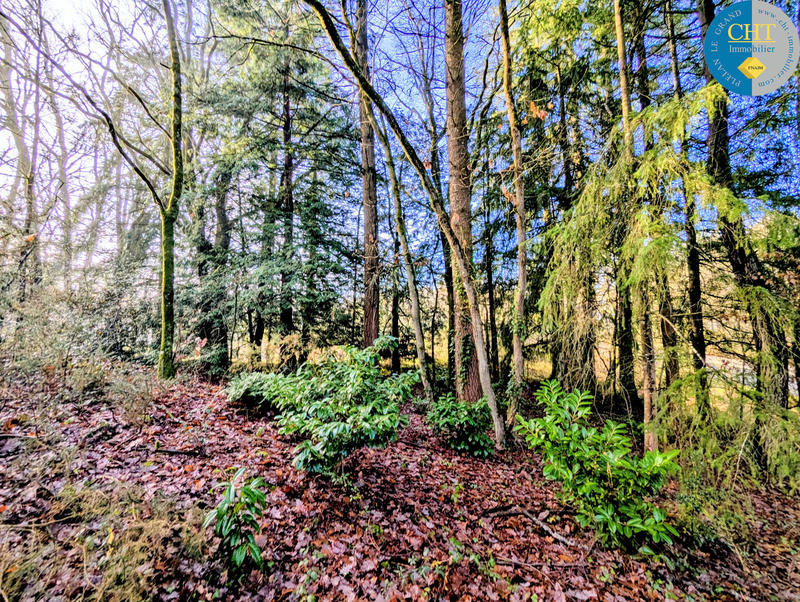 Terrain - 20 680 m²