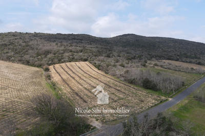 Terrain agricole - 7 731 m²