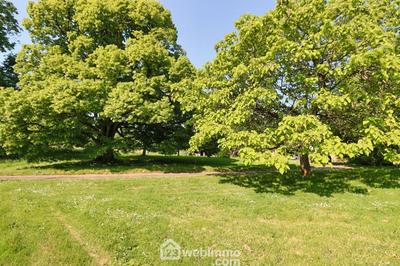 Maison - 295 m² - 11 pièces