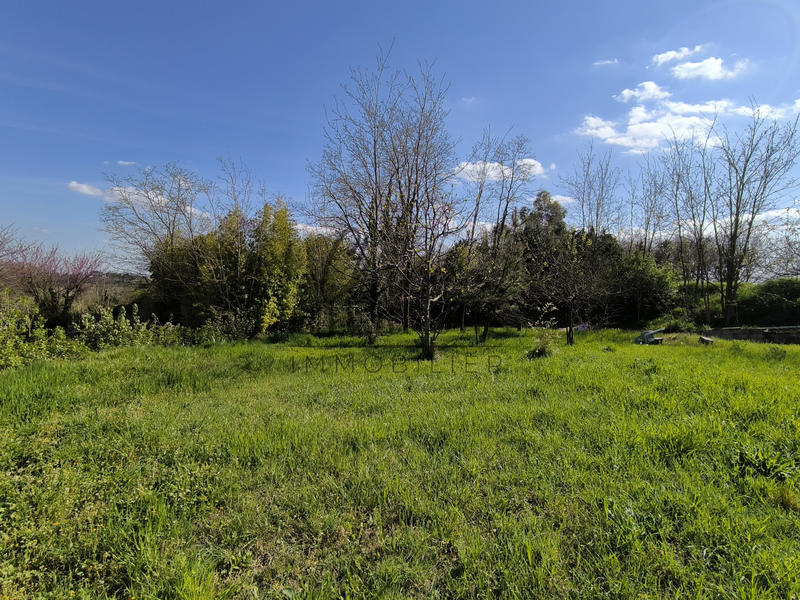 Terrain - 667 m²