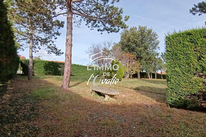 Terrain - 556 m²