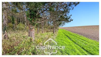 Maison - 30 m² - 1 pièce