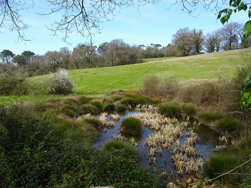 Maison - 153 m² - 7 pièces