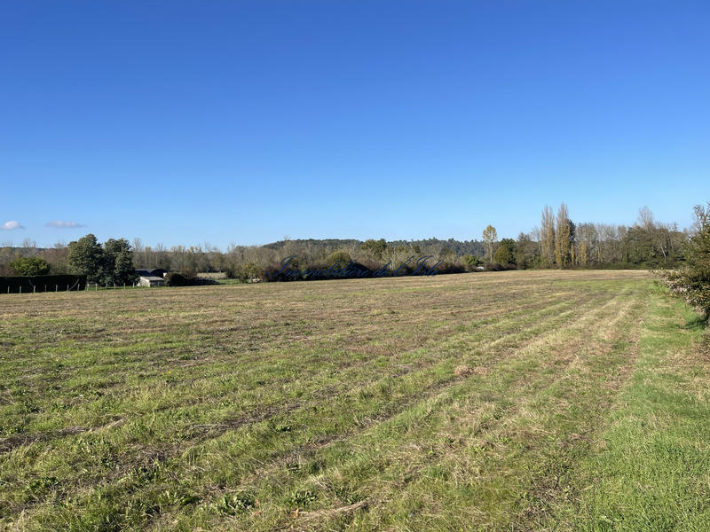 Terrain - 33 059 m²