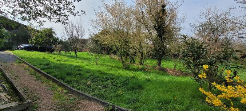 Appartement - 238 m² - 10 pièces