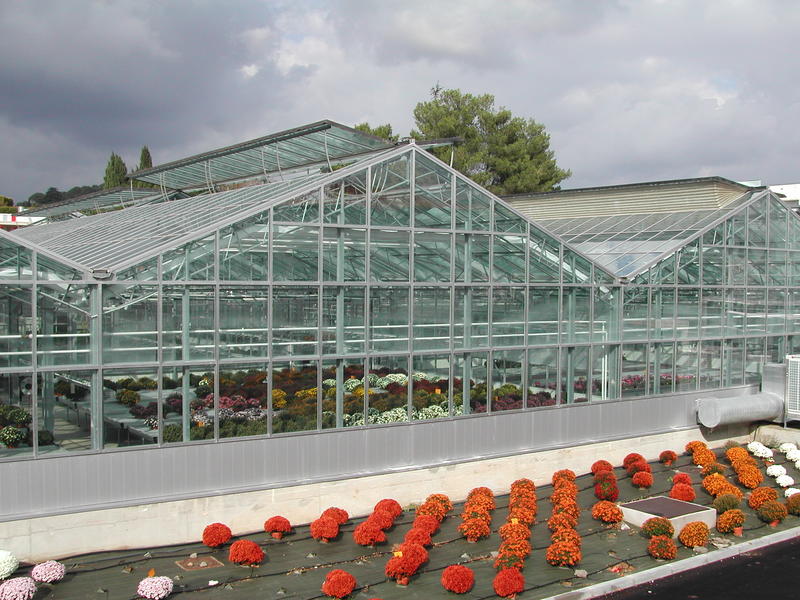 Les serres de la Frondaie