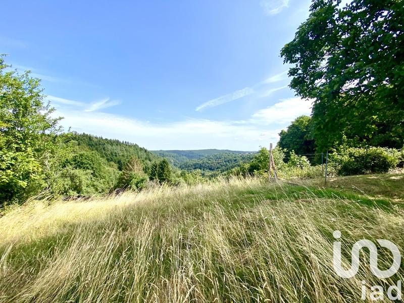 Terrain - 3 115 m²