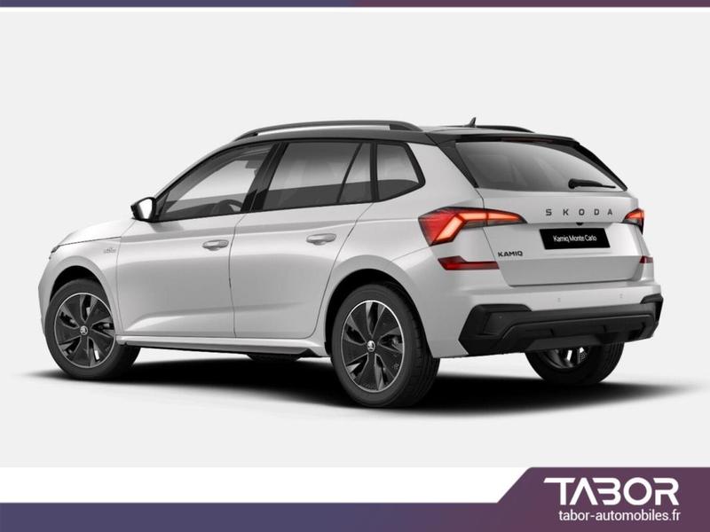 Skoda Kamiq Dsg MonteC Pano Matrix Cam Kessy