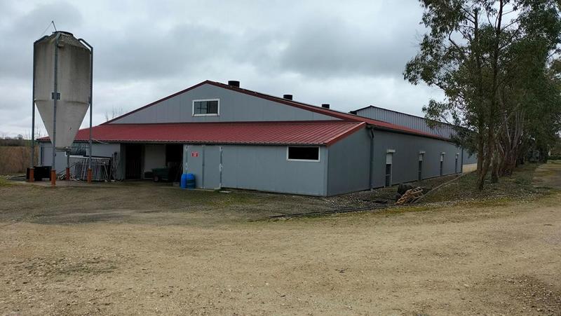 Corps de ferme - 230 m² - 5 pièces