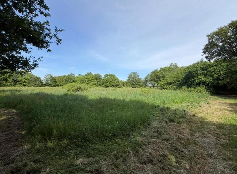 Maison - 165 m² - 7 pièces