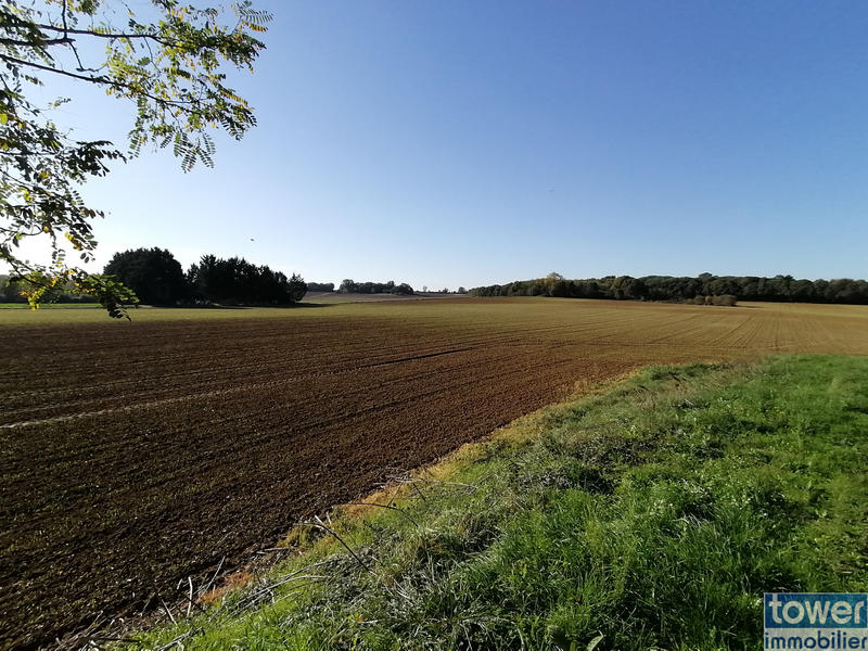 Local d'activités - 2 925 m²