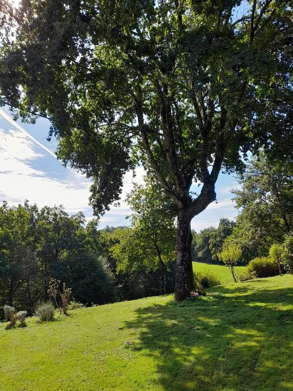 Maison - 115 m² - 4 pièces