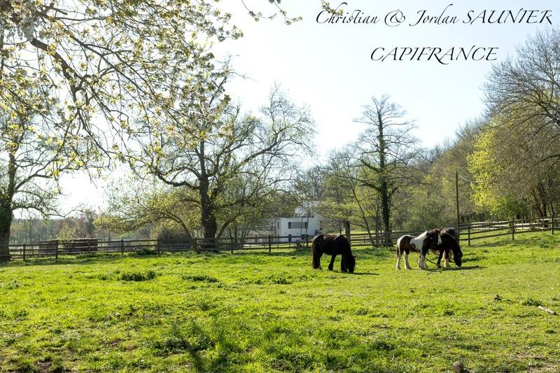 Propriété - 391 m² - 10 pièces