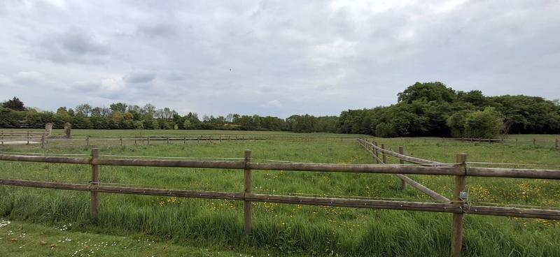 Manoir - 1 300 m² - 21 pièces