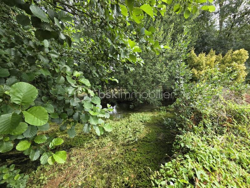 Maison ancienne - 234 m² - 7 pièces