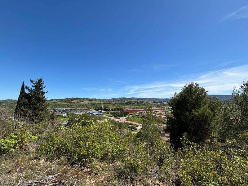 Terrain agricole - 13 051 m²