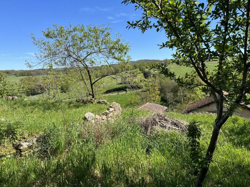 Maison en pierre - 160 m² - 6 pièces