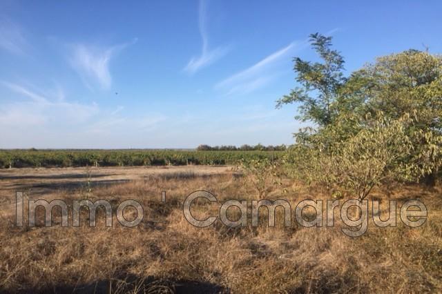 Mas - 135 m² - 5 pièces