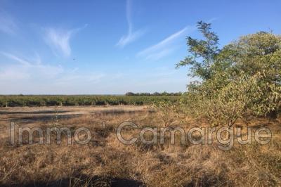 Mas - 135 m² - 5 pièces