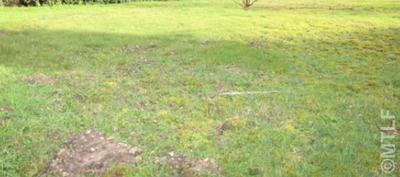 Terrain constructible - 659 m²