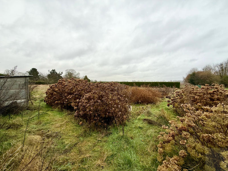 Maison - 113 m² - 3 pièces