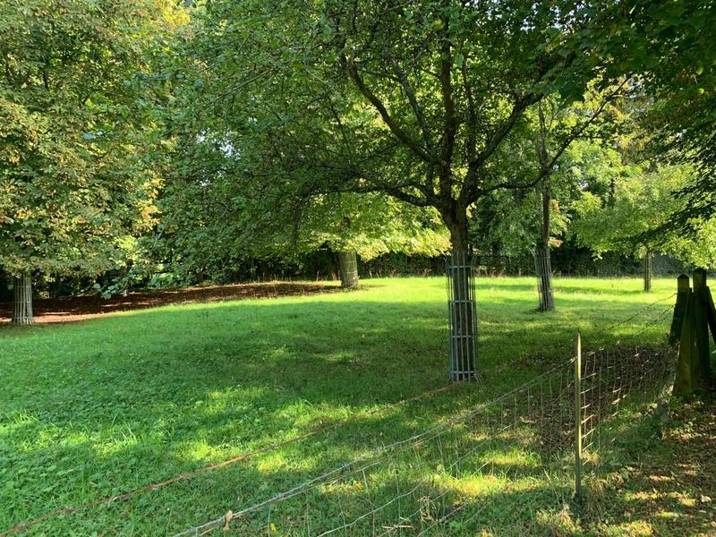 Viager - Villa - 205 m² - 7 pièces