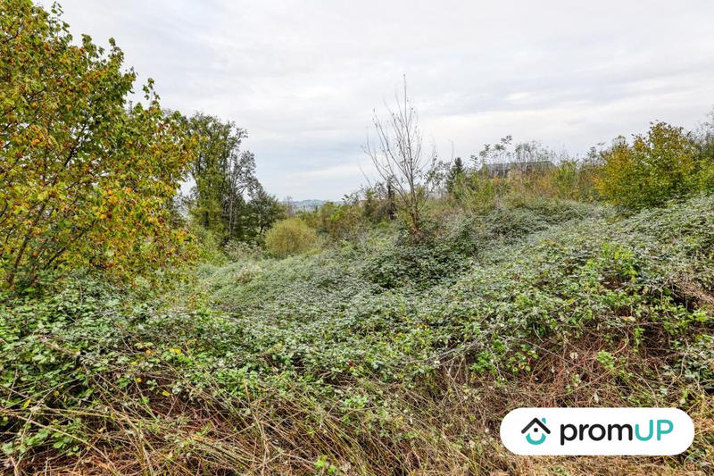 Terrain - 17 000 m²