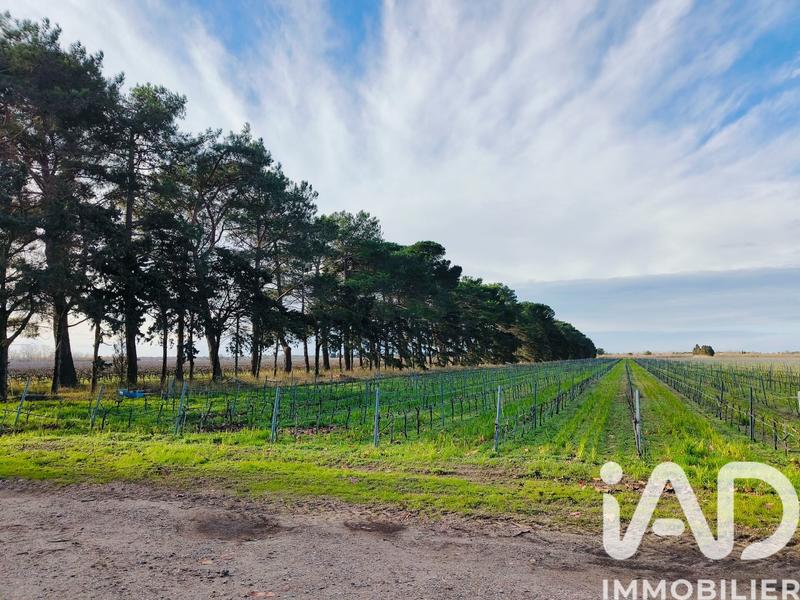 Terrain agricole - 1 140 000 m²