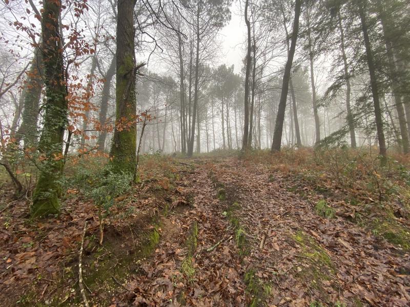 Terrain agricole - 19 150 m²