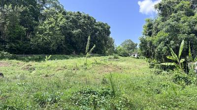 Terrain constructible - 828 m²