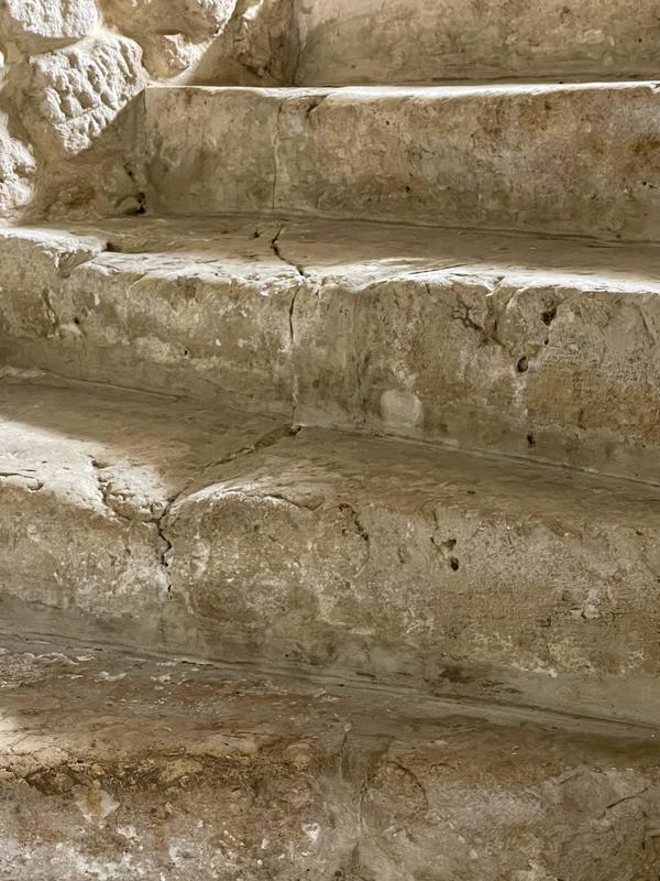 Manoir - 400 m² - 11 pièces