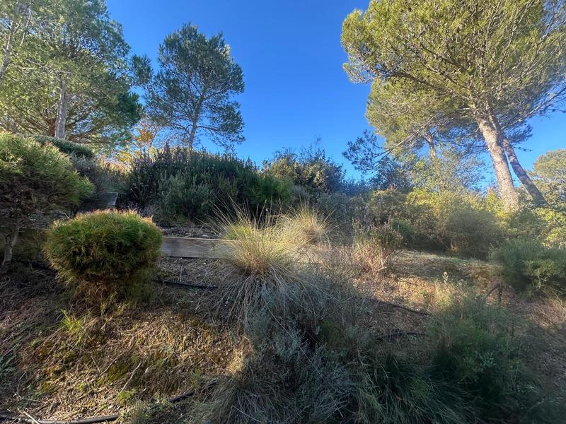 Maison traditionnelle - 268 m² - 9 pièces