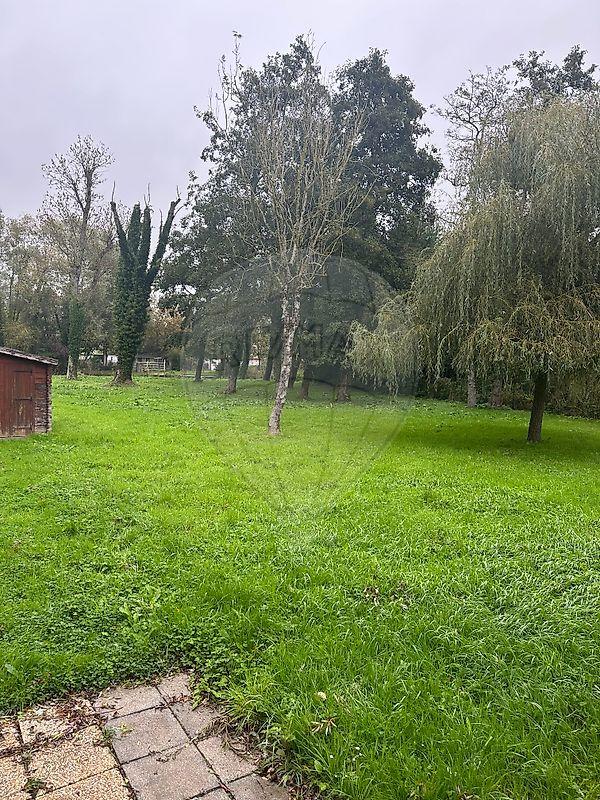 Propriété - 50 m² - 5 pièces