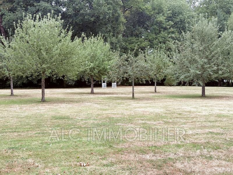 Propriété - 469 m² - 12 pièces